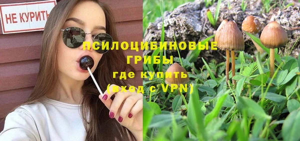 прущая мука Алексин